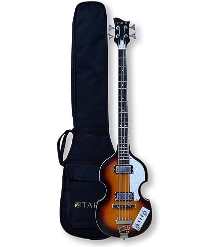 Amazon.com: Rogue VB100 Violin Bass Guitar Vintage Sunburst